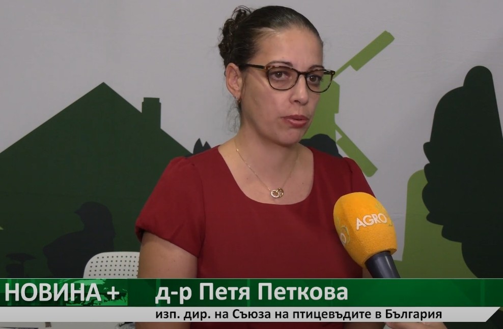 “За” и “против” клетъчното отглеждане на птици